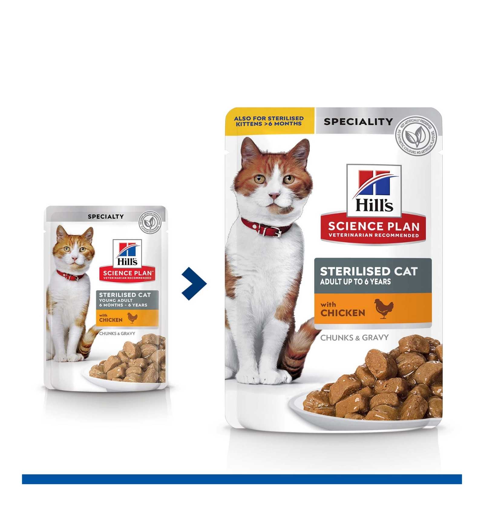 HILLS1941PZ_40_Image.erp.items.images.607197_40.jpg HILLS1941PZ picture