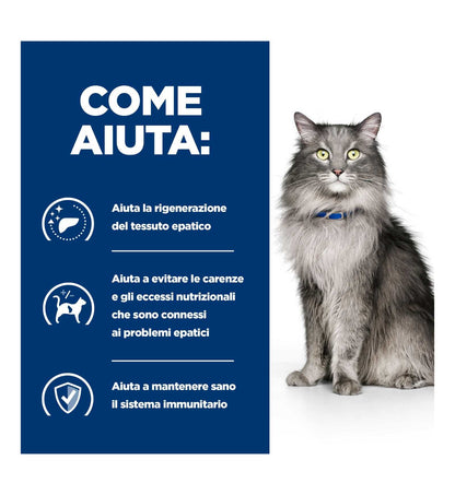 HILLS20056240_16_Image.erp.items.images.605968_16.jpg HILLS20056240 picture