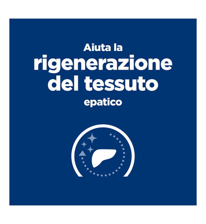 HILLS20056240_18_Image.erp.items.images.605968_18.jpg HILLS20056240 picture