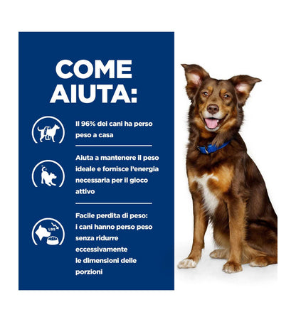 HILLS20073732_12__Server-Mago_Mago4_Custom_Companies_ZOOEXPERT_SRL_Applications_ERP_Items_Files_Images_AllUsers_605942_18.jpg HILLS20073732 picture