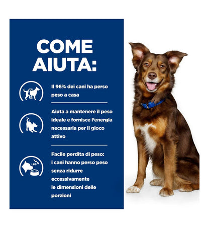 HILLS20073732_5__Server-Mago_Mago4_Custom_Companies_ZOOEXPERT_SRL_Applications_erp_items_Files_images_AllUsers_605942_16.jpg HILLS20073732 picture