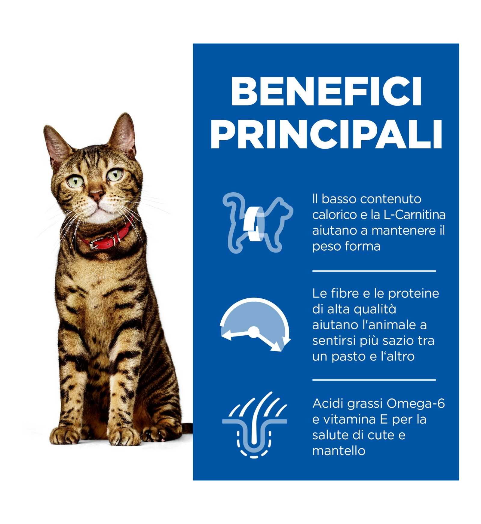 HILLS2109PA_3__Server-Mago_Mago4_Custom_Companies_ZOOEXPERT_SRL_Applications_erp_items_Files_images_AllUsers_604015_16.jpg HILLS2109PA picture