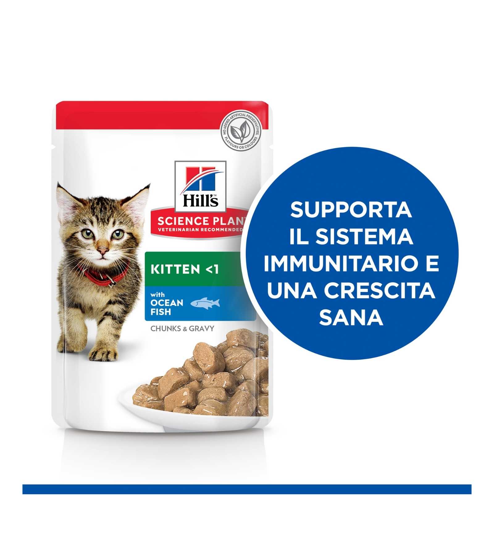 HILLS2113PZ_5__Server-Mago_Mago4_Custom_Companies_ZOOEXPERT_SRL_Applications_erp_items_Files_images_AllUsers_607087_17.jpg HILLS2113PZ picture