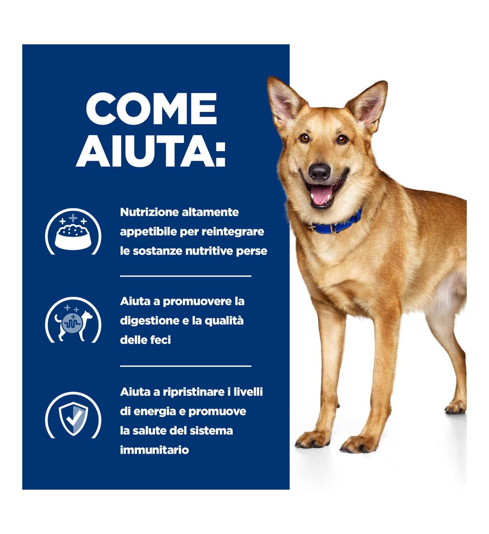 HILLS603867_5__Server-Mago_Mago4_Custom_Companies_ZOOEXPERT_SRL_Applications_erp_items_Files_images_AllUsers_606448_16.jpg HILLS603867 picture