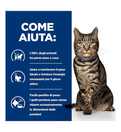 HILLS603882_4__Server-Mago_Mago4_Custom_Companies_ZOOEXPERT_SRL_Applications_ERP_Items_Files_Images_AllUsers_605636_16.jpg HILLS603882 picture