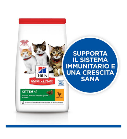 HILLS604045_17_Image.erp.items.images.604048_17.jpg HILLS604045 picture