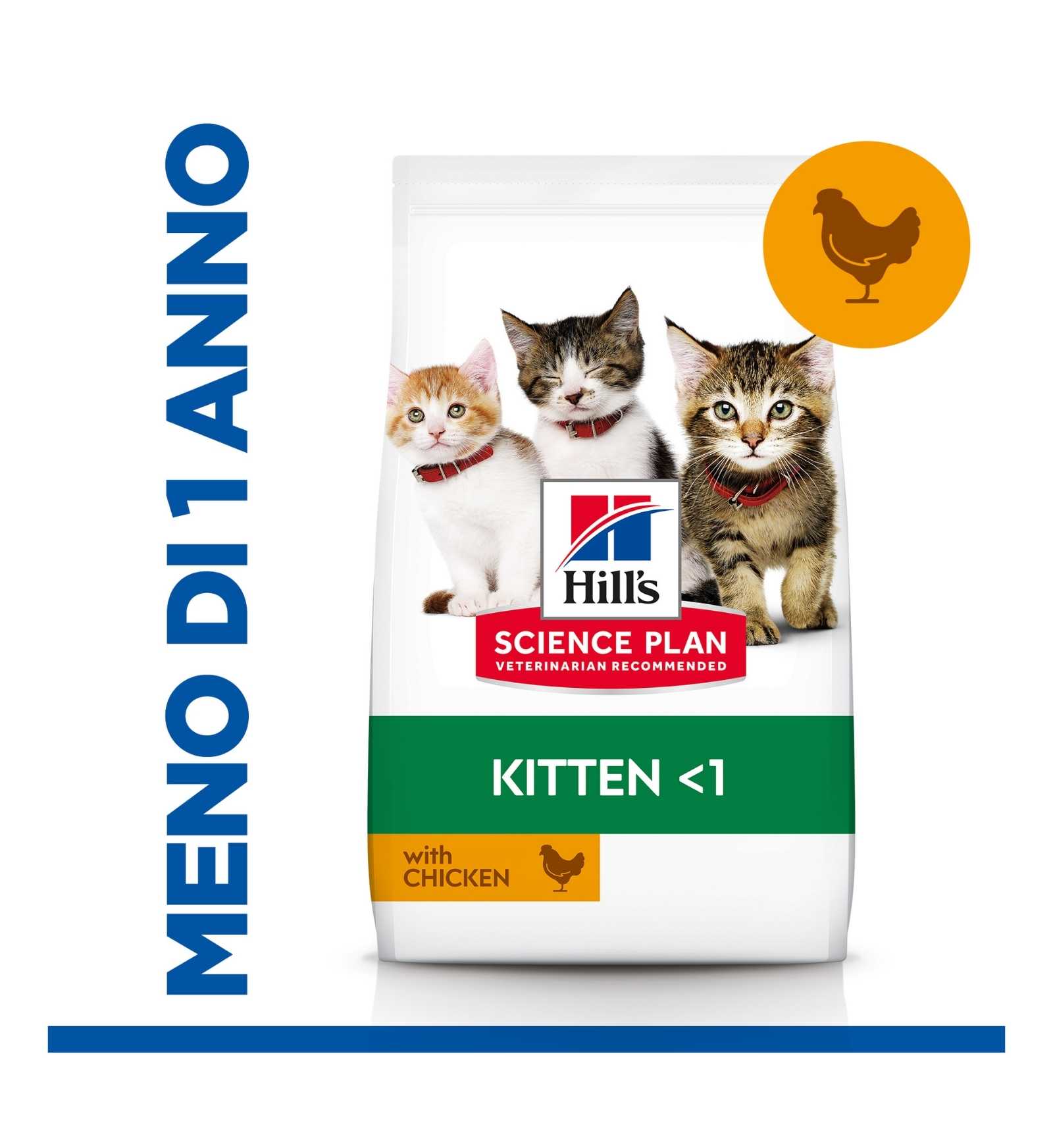 HILLS604045_4_Image.erp.items.images.604048_04.jpg HILLS604045 picture