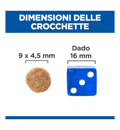 HILLS604073_11_Image.erp.items.images.604073_11.jpg HILLS604073 picture