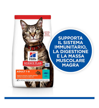 HILLS604073_17_Image.erp.items.images.604073_17.jpg HILLS604073 picture