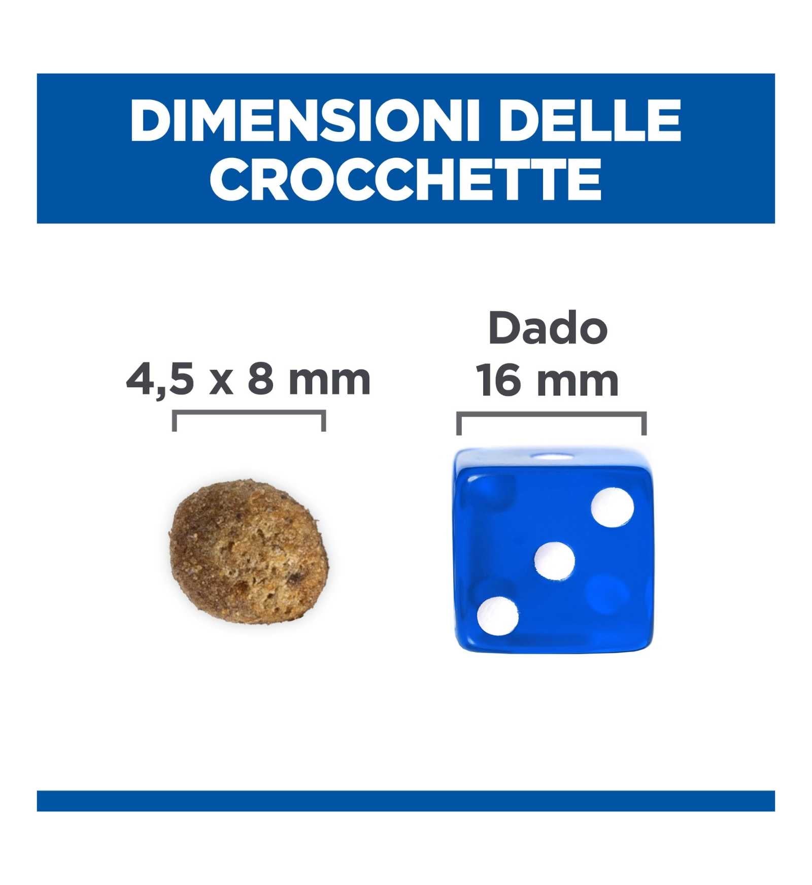 HILLS604085_12_Image.erp.items.images.604085_12.jpg HILLS604085 picture