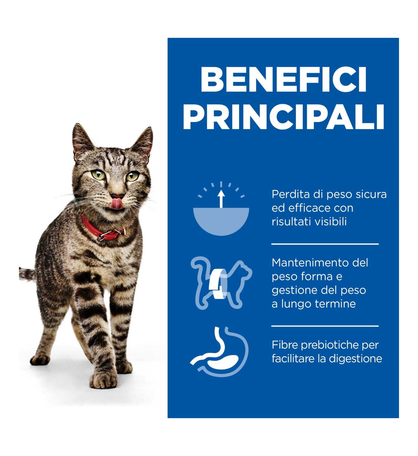 HILLS604085_16_Image.erp.items.images.604085_16.jpg HILLS604085 picture