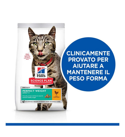 HILLS604085_17_Image.erp.items.images.604085_17.jpg HILLS604085 picture