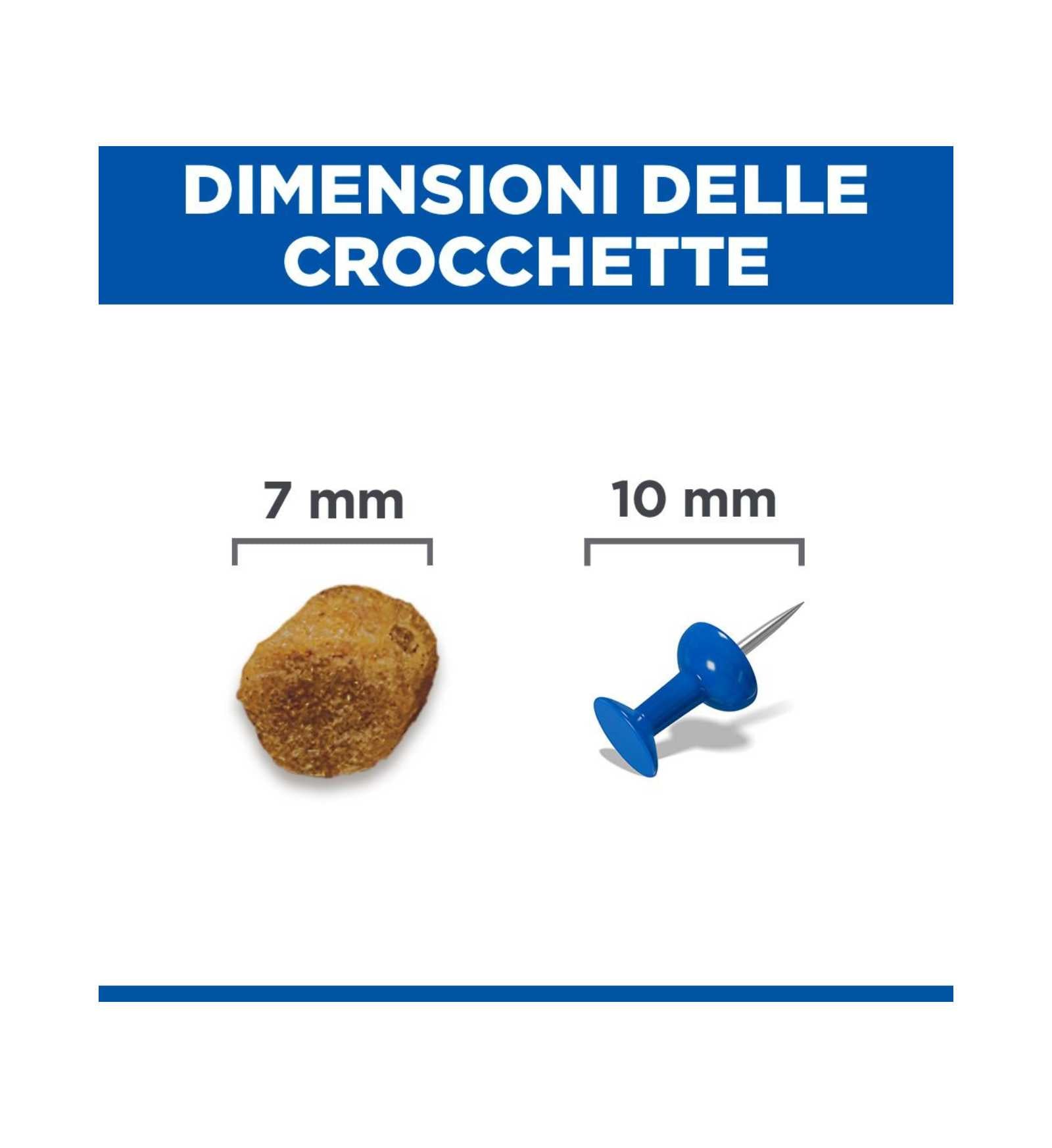 HILLS604130_4__Server-Mago_Mago4_Custom_Companies_ZOOEXPERT_SRL_Applications_ERP_Items_Files_Images_AllUsers_608877_12.jpg HILLS604130 picture