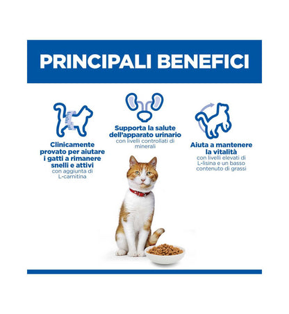 HILLS604130_7__Server-Mago_Mago4_Custom_Companies_ZOOEXPERT_SRL_Applications_ERP_Items_Files_Images_AllUsers_608877_15.jpg HILLS604130 picture