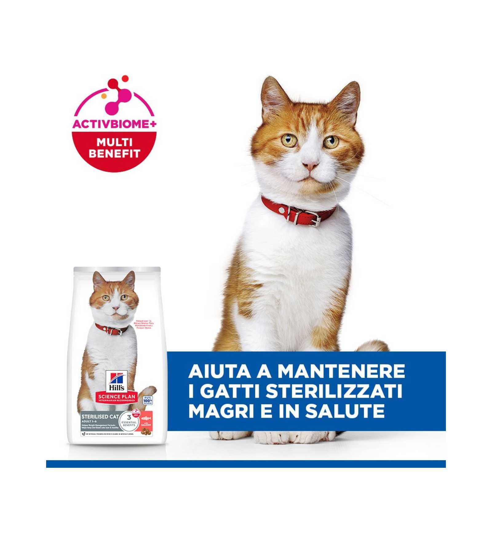 HILLS604130_8__Server-Mago_Mago4_Custom_Companies_ZOOEXPERT_SRL_Applications_ERP_Items_Files_Images_AllUsers_608877_16.jpg HILLS604130 picture