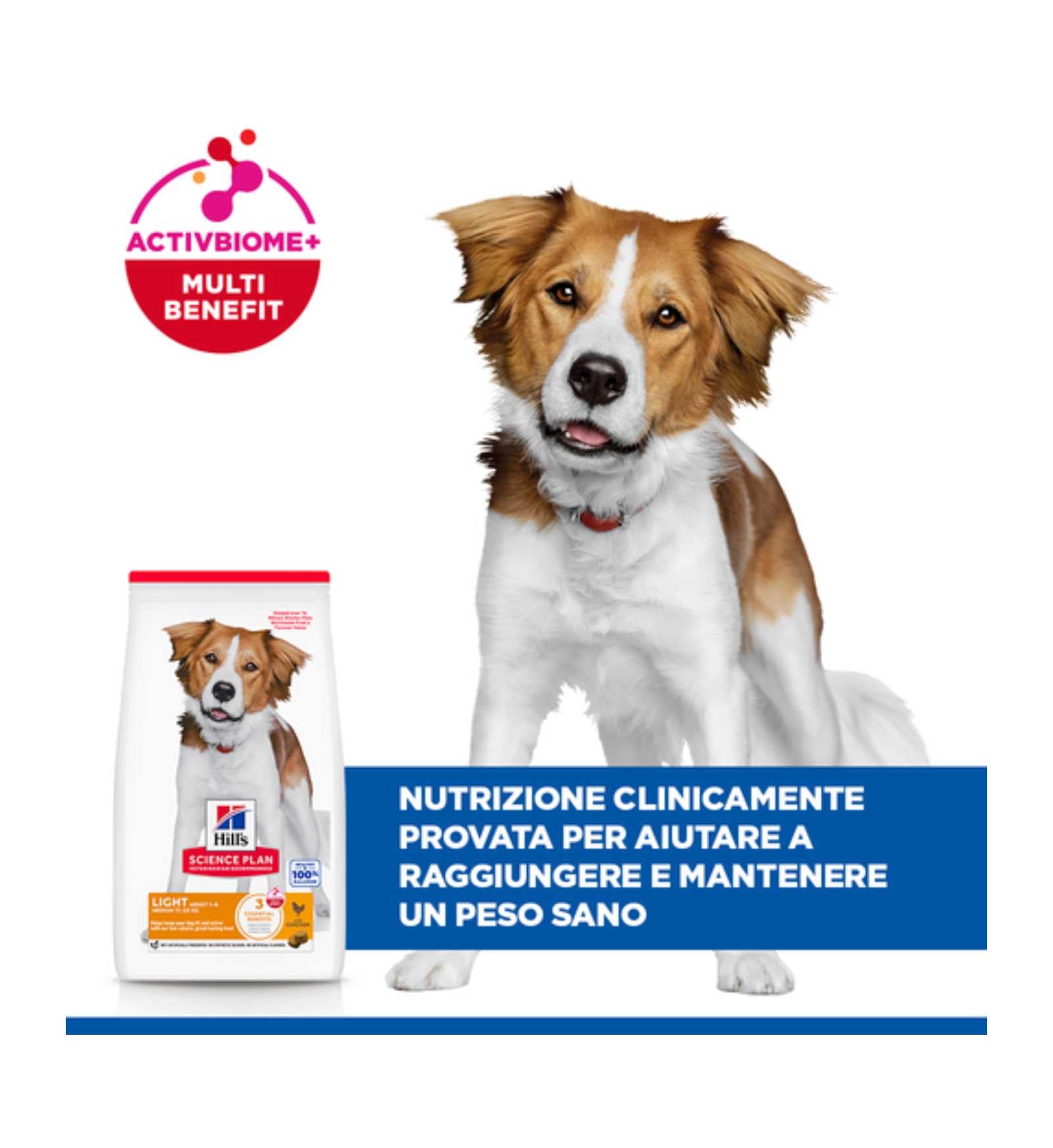 HILLS604282_6__Server-Mago_Mago4_Custom_Companies_ZOOEXPERT_SRL_Applications_ERP_Items_Files_Images_AllUsers_604282_17.jpg HILLS604282 picture