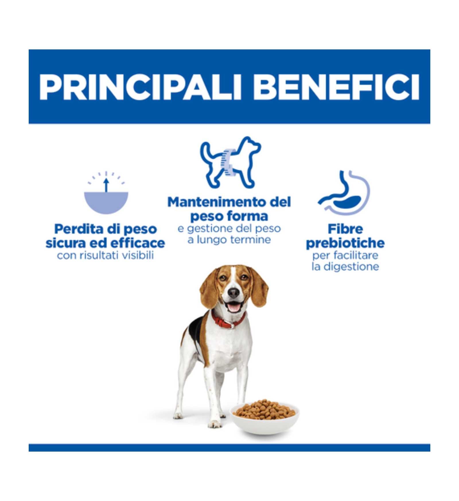 HILLS604297_5__Server-Mago_Mago4_Custom_Companies_ZOOEXPERT_SRL_Applications_ERP_Items_Files_Images_AllUsers_604297_16.jpg HILLS604297 picture