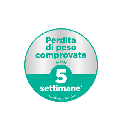 HILLS604297_7__Server-Mago_Mago4_Custom_Companies_ZOOEXPERT_SRL_Applications_ERP_Items_Files_Images_AllUsers_604297_18.jpg HILLS604297 picture