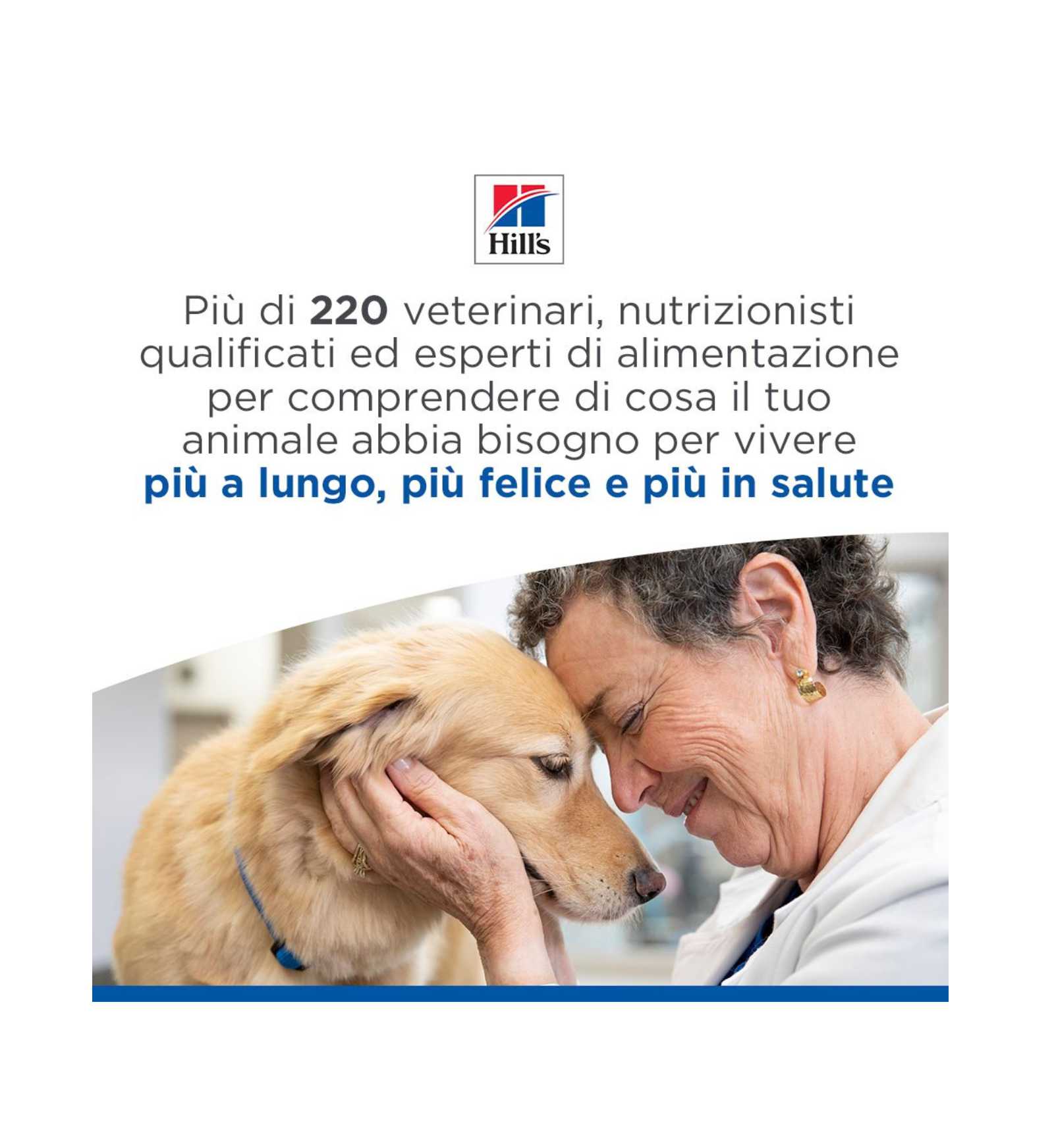 HILLS604319_6__Server-Mago_Mago4_Custom_Companies_ZOOEXPERT_SRL_Applications_ERP_Items_Files_Images_AllUsers_608092_14.jpg HILLS604319 picture