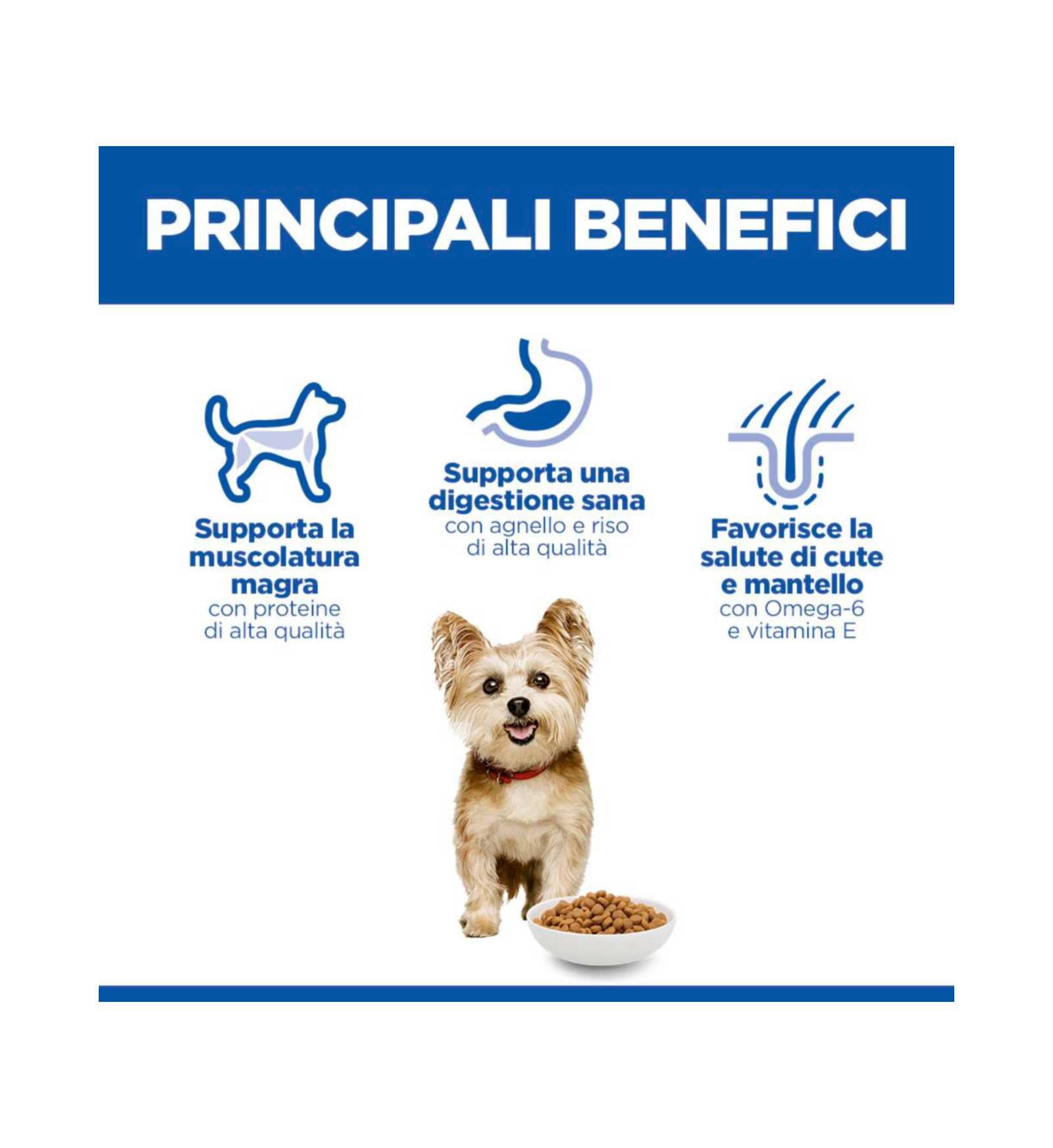 HILLS604319_7__Server-Mago_Mago4_Custom_Companies_ZOOEXPERT_SRL_Applications_ERP_Items_Files_Images_AllUsers_608092_15.jpg HILLS604319 picture