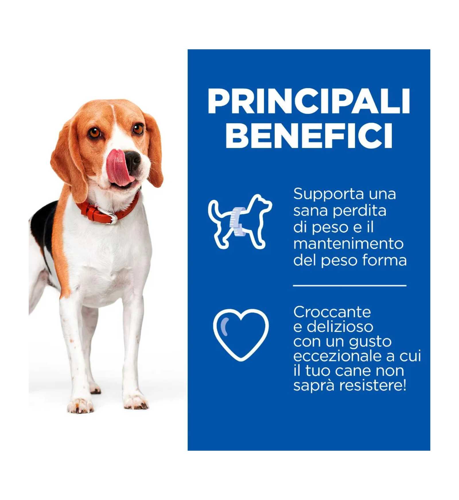 HILLS604409_5__Server-Mago_Mago4_Custom_Companies_ZOOEXPERT_SRL_Applications_ERP_Items_Files_Images_AllUsers_604408_13.jpg HILLS604409 picture