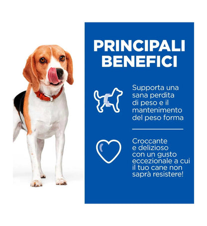 HILLS604409_5__Server-Mago_Mago4_Custom_Companies_ZOOEXPERT_SRL_Applications_ERP_Items_Files_Images_AllUsers_604408_13.jpg HILLS604409 picture