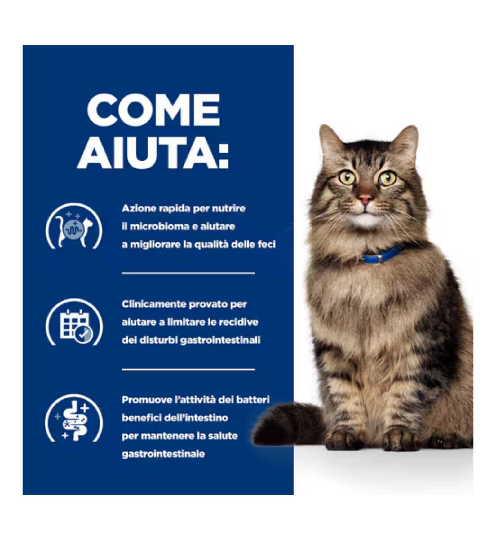 HILLS604420_4__Server-Mago_Mago4_Custom_Companies_ZOOEXPERT_SRL_Applications_erp_items_Files_images_AllUsers_608177_16.jpg HILLS604420 picture