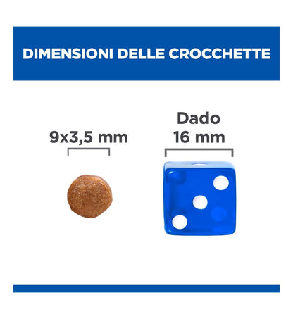 HILLS605958_12_Image.erp.items.images.605955_12.jpg HILLS605958 picture