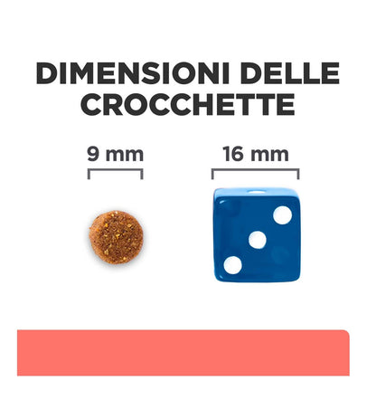 HILLS607675_12_Image.erp.items.images.607675_12.jpg HILLS607675 picture