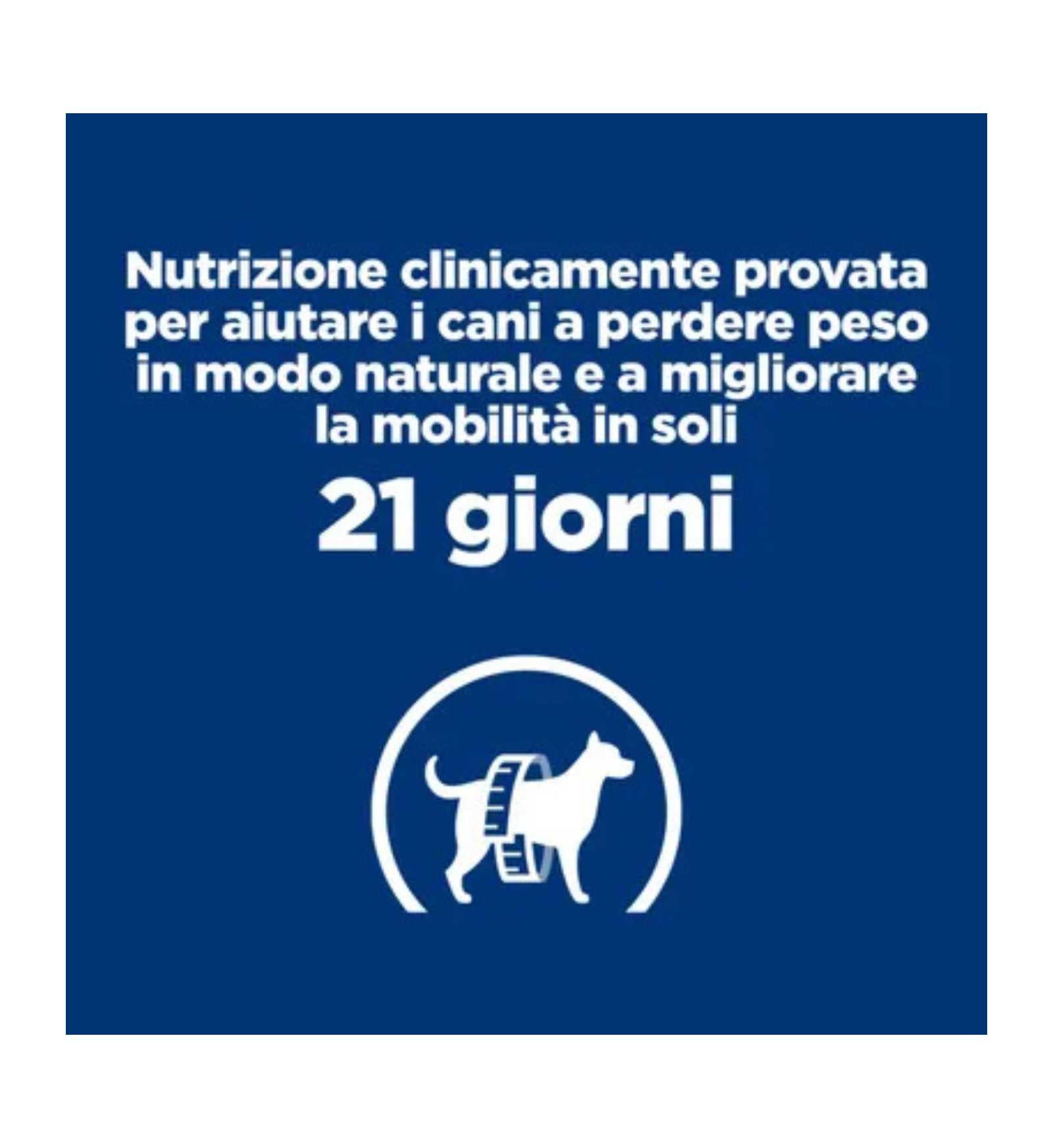 HILLS607714_18__Server-Mago_Mago4_Custom_Companies_ZOOEXPERT_SRL_Applications_ERP_Items_Files_Images_AllUsers_607714_18.jpg HILLS607714 picture