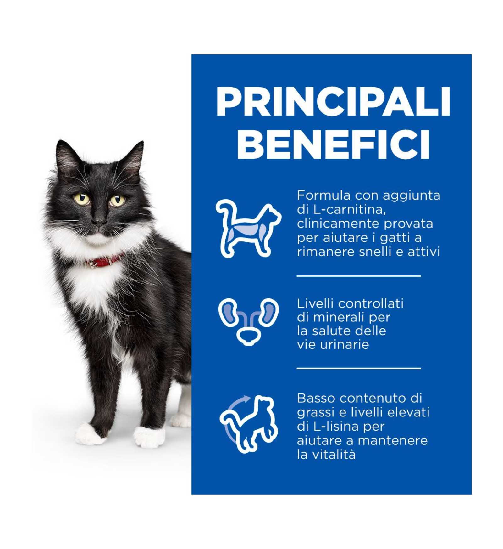 HILLS608949_6__Server-Mago_Mago4_Custom_Companies_ZOOEXPERT_SRL_Applications_ERP_Items_Files_Images_AllUsers_608949_17.jpg HILLS608949 picture