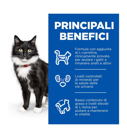 HILLS608949_6__Server-Mago_Mago4_Custom_Companies_ZOOEXPERT_SRL_Applications_ERP_Items_Files_Images_AllUsers_608949_17.jpg HILLS608949 picture