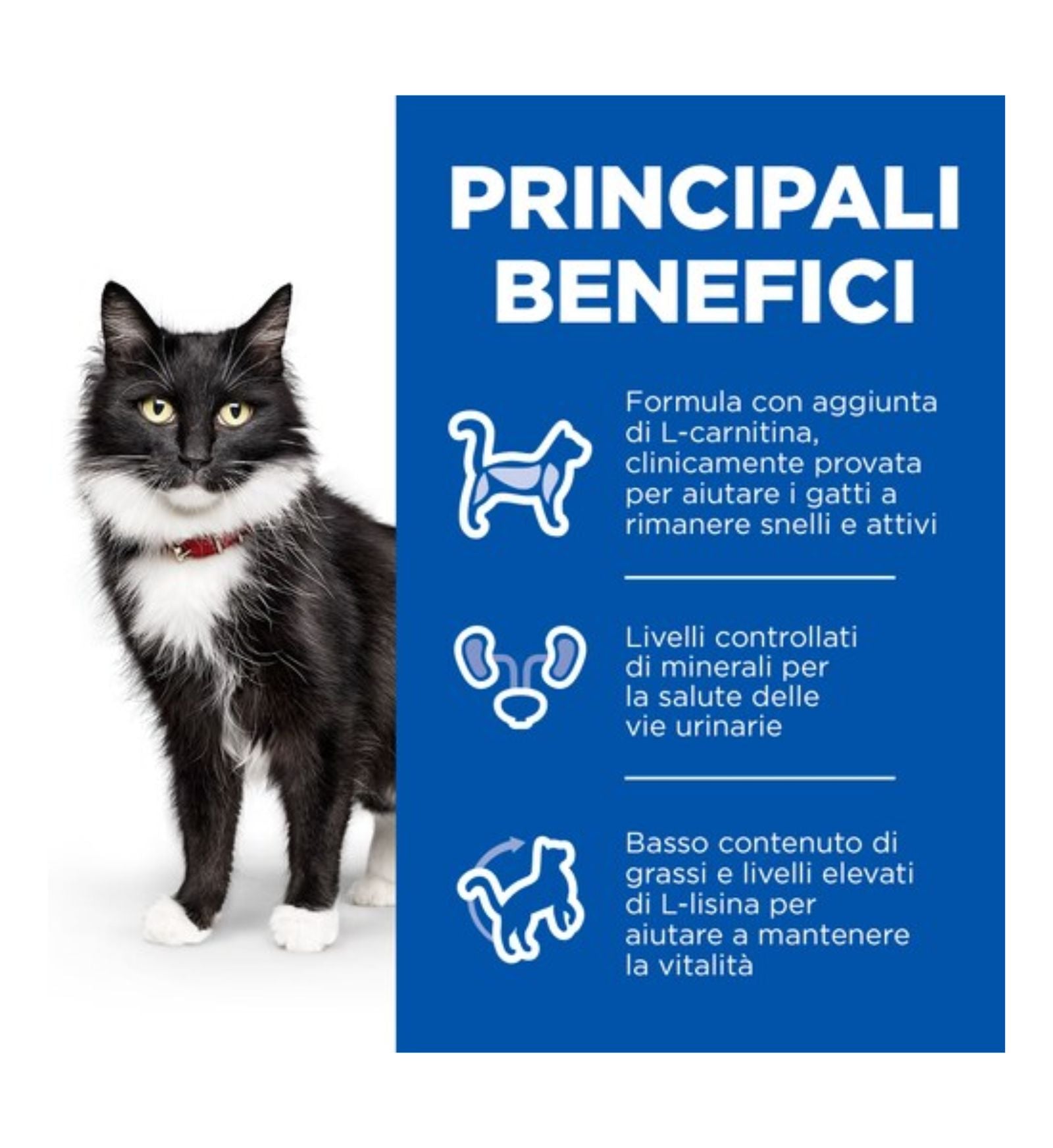 HILLS608951_3__Server-Mago_Mago4_Custom_Companies_ZOOEXPERT_SRL_Applications_erp_items_Files_images_AllUsers_608951_16.jpg HILLS608951 picture