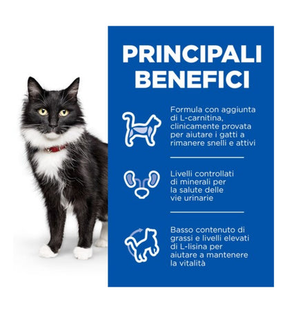 HILLS608951_3__Server-Mago_Mago4_Custom_Companies_ZOOEXPERT_SRL_Applications_erp_items_Files_images_AllUsers_608951_16.jpg HILLS608951 picture