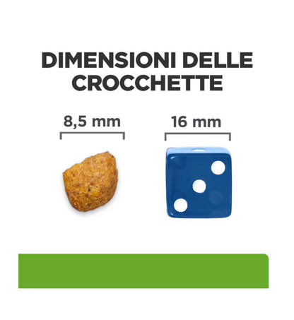 HILLS609954_4__Server-Mago_Mago4_Custom_Companies_ZOOEXPERT_SRL_Applications_ERP_Items_Files_Images_AllUsers_609954_12.jpg HILLS609954 picture