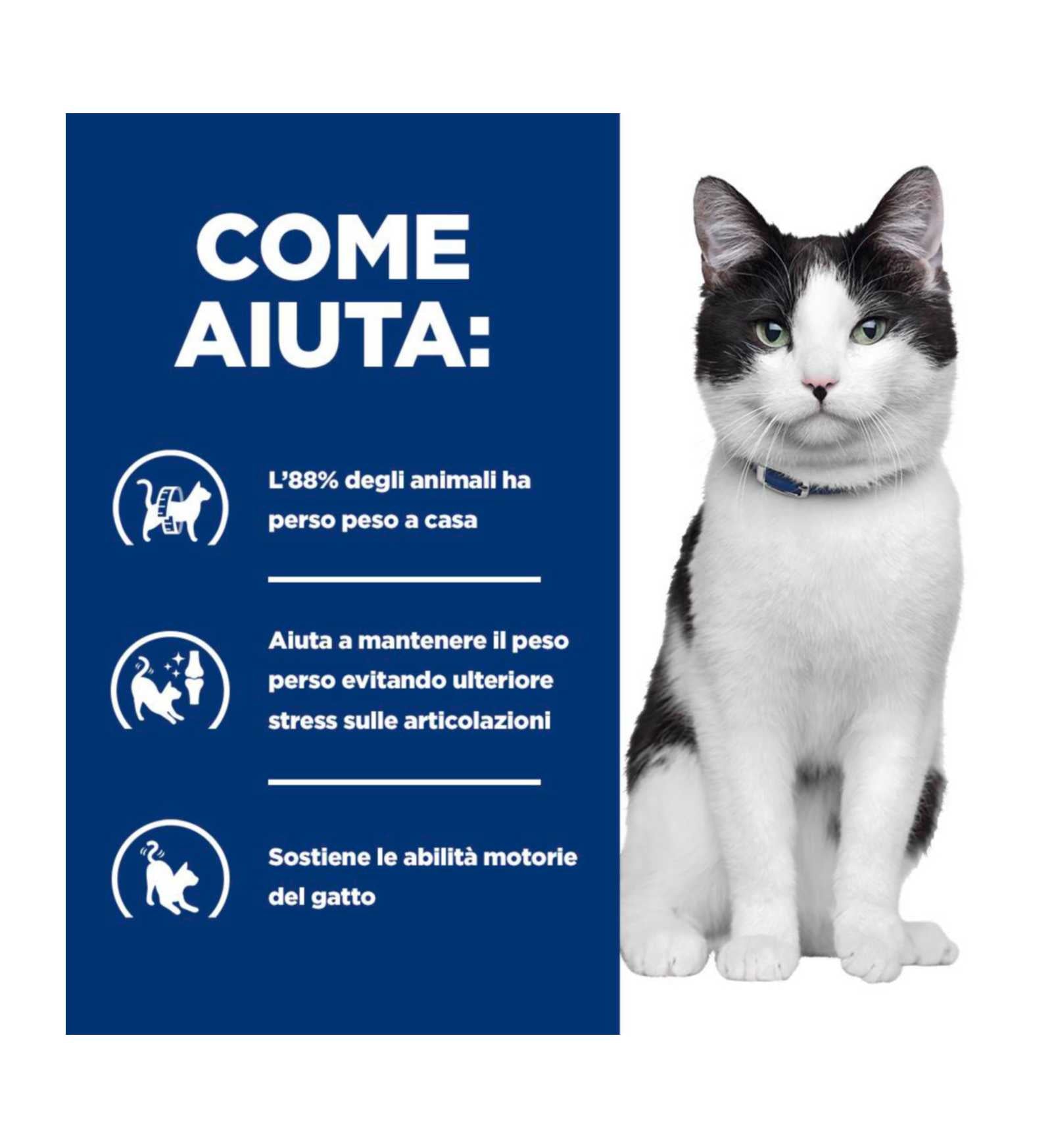 HILLS609954_5__Server-Mago_Mago4_Custom_Companies_ZOOEXPERT_SRL_Applications_ERP_Items_Files_Images_AllUsers_609954_16.jpg HILLS609954 picture