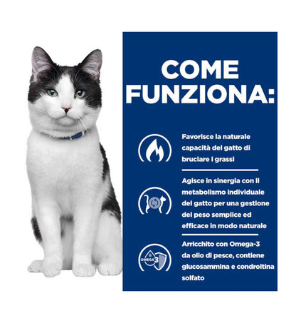 HILLS609954_6__Server-Mago_Mago4_Custom_Companies_ZOOEXPERT_SRL_Applications_ERP_Items_Files_Images_AllUsers_609954_17.jpg HILLS609954 picture