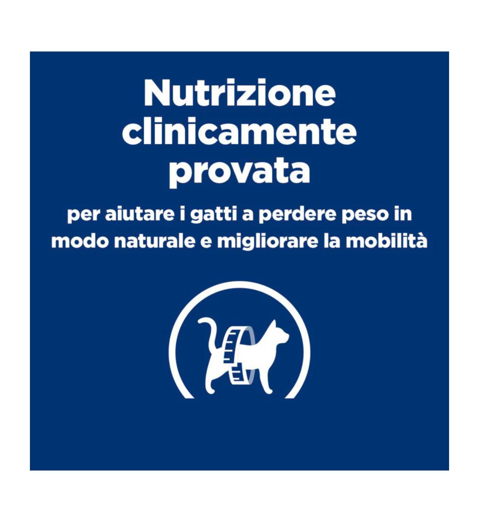 HILLS609954_7__Server-Mago_Mago4_Custom_Companies_ZOOEXPERT_SRL_Applications_ERP_Items_Files_Images_AllUsers_609954_18.jpg HILLS609954 picture