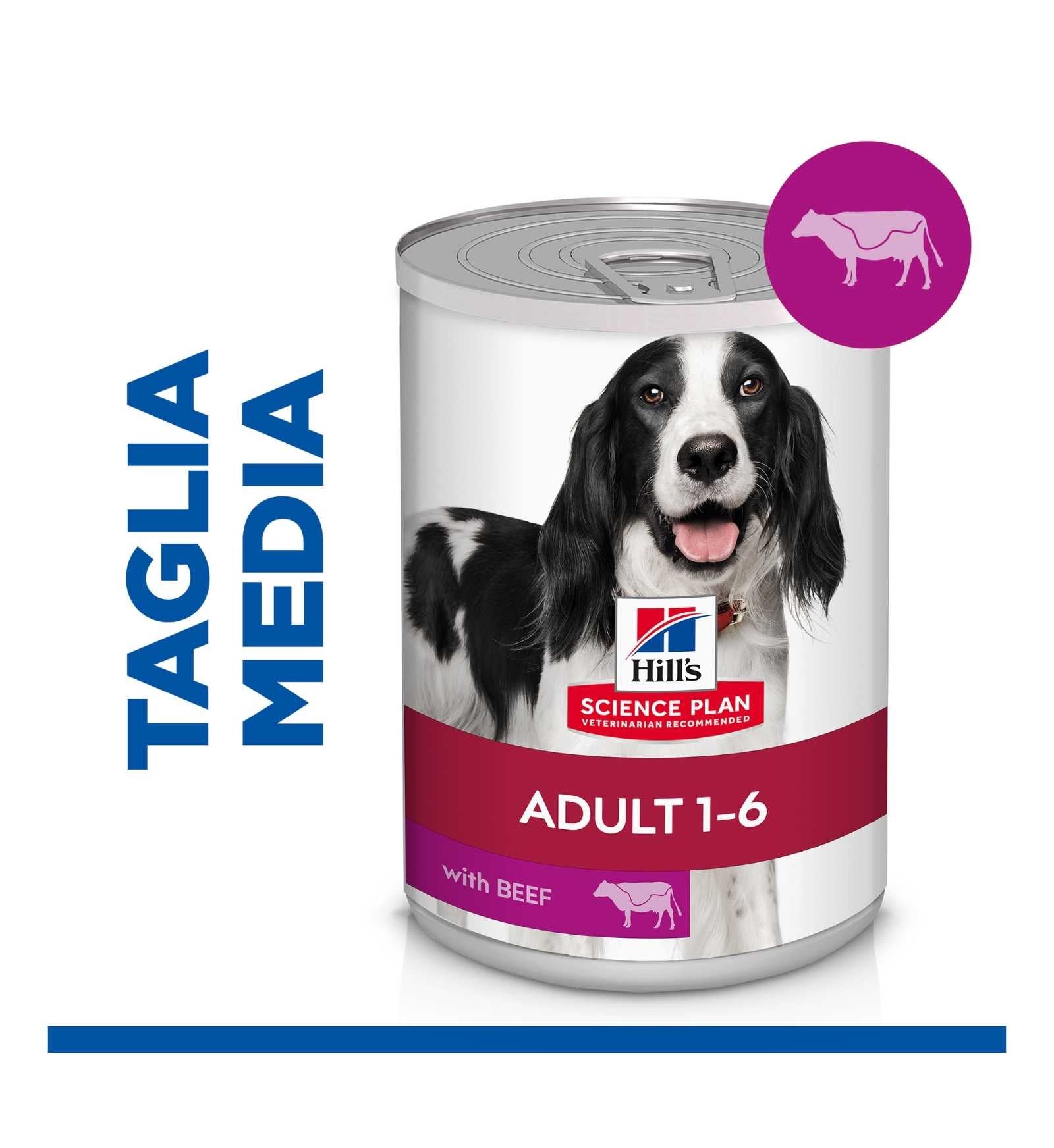 HILLS8039M_3__Server-Mago_Mago4_Custom_Companies_ZOOEXPERT_SRL_Applications_ERP_Items_Files_Images_AllUsers_607096_04.jpg HILLS8039M picture