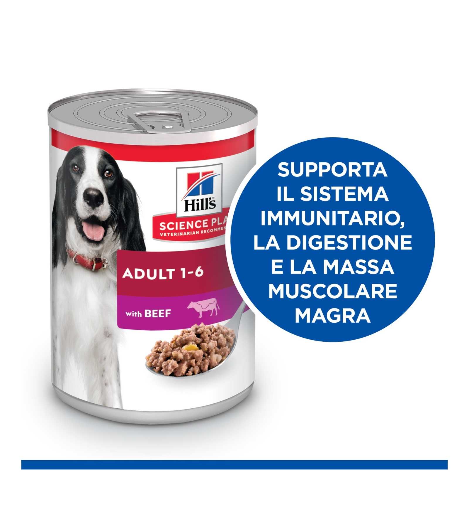 HILLS8039M_5__Server-Mago_Mago4_Custom_Companies_ZOOEXPERT_SRL_Applications_ERP_Items_Files_Images_AllUsers_607096_17.jpg HILLS8039M picture