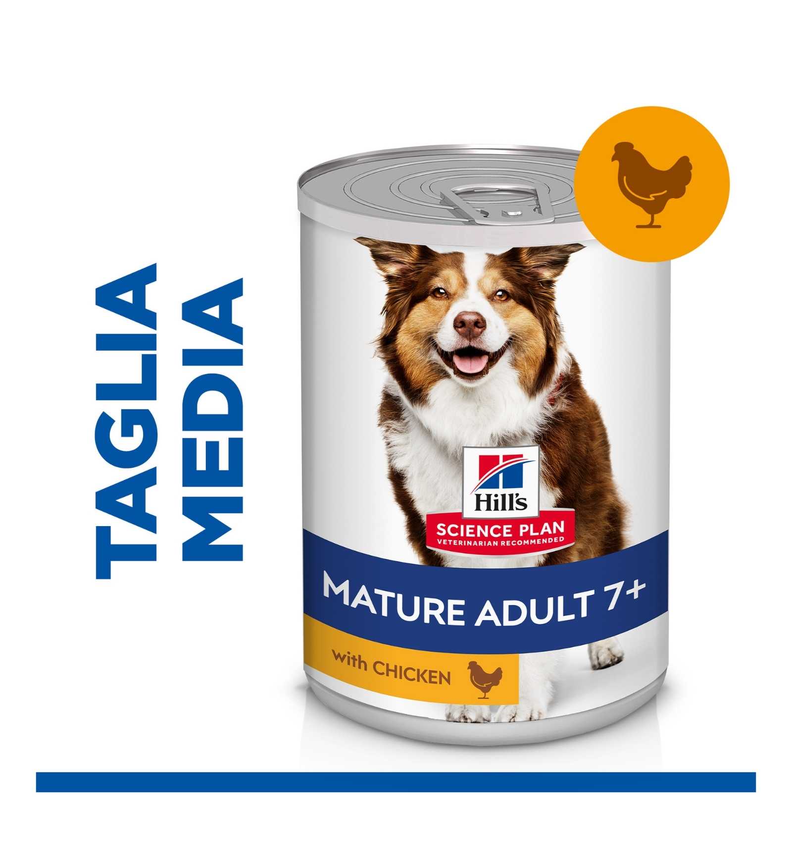 HILLS8055M_3__Server-Mago_Mago4_Custom_Companies_ZOOEXPERT_SRL_Applications_ERP_Items_Files_Images_AllUsers_607095_04.jpg HILLS8055M picture