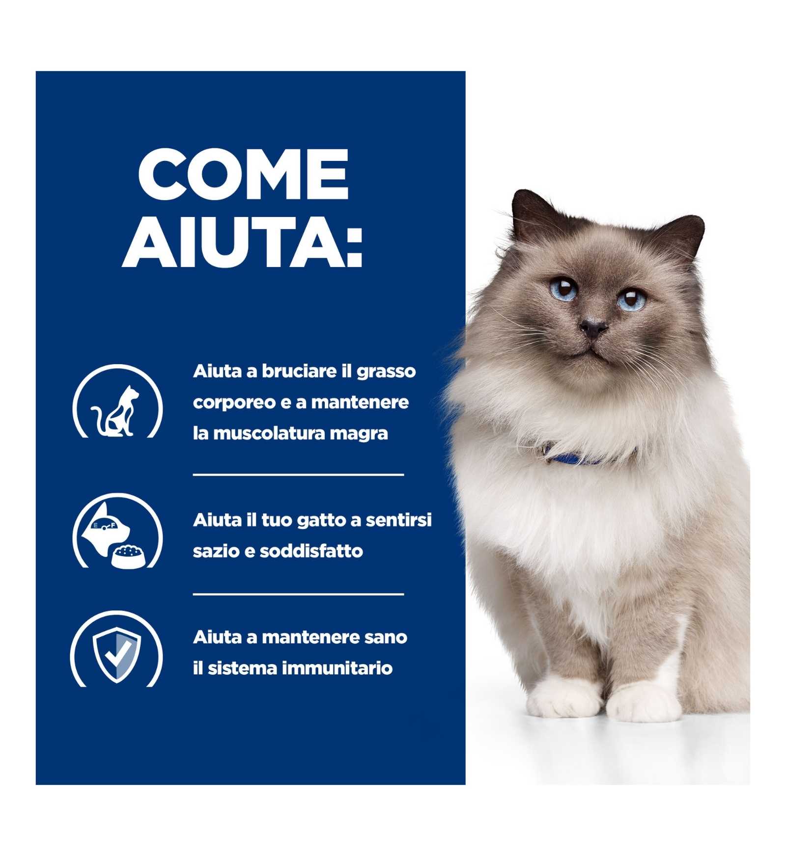 HILLS_9187MK_16_Image.erp.items.images.605927_16.jpg HILLS 9187MK picture