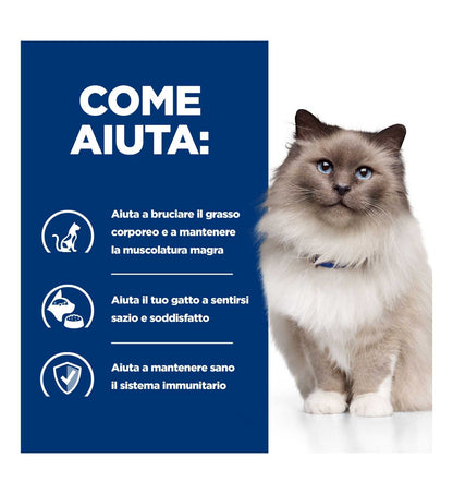 HILLS_9187MK_16_Image.erp.items.images.605927_16.jpg HILLS 9187MK picture