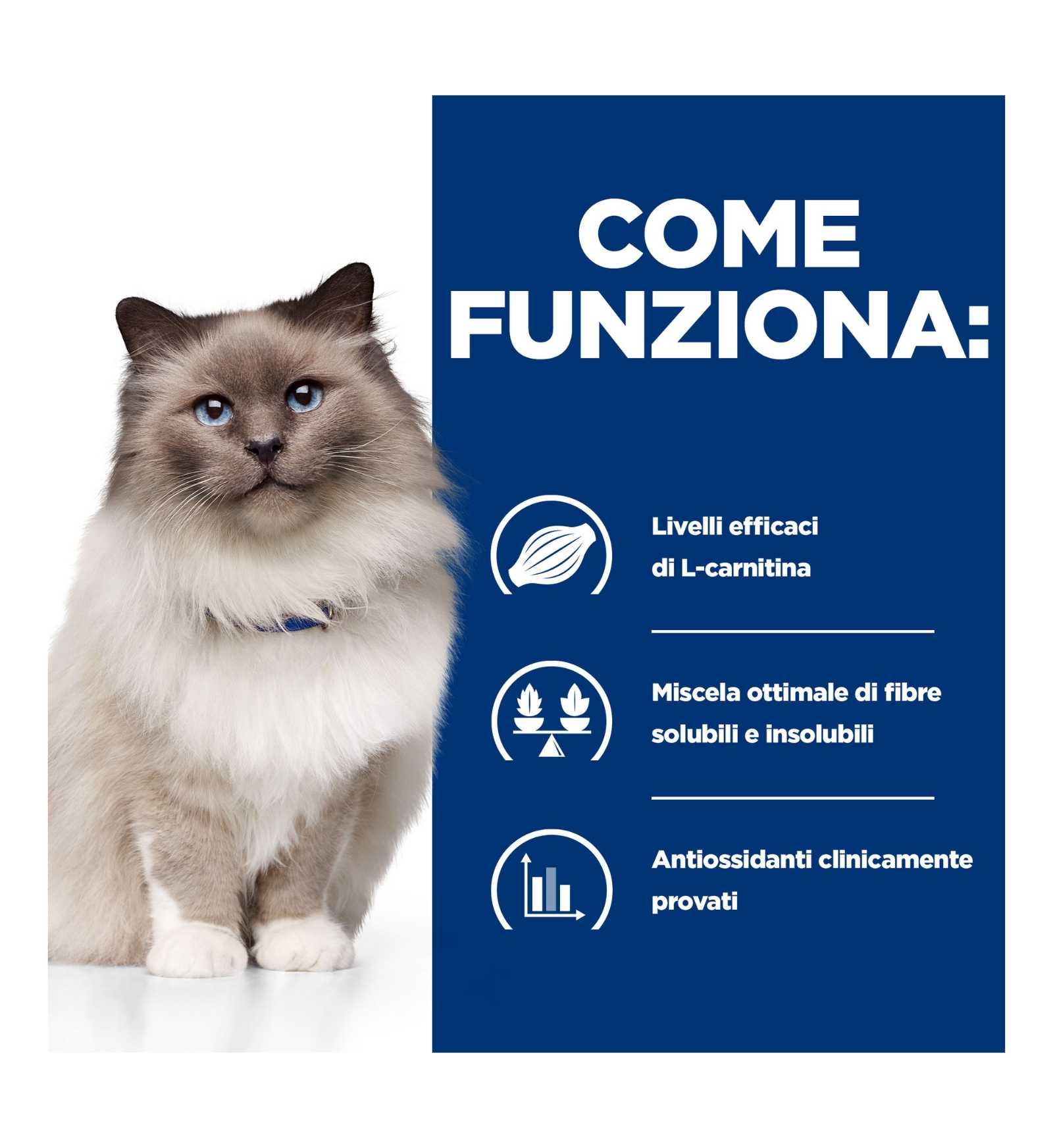 HILLS_9187MK_17_Image.erp.items.images.605927_17.jpg HILLS 9187MK picture