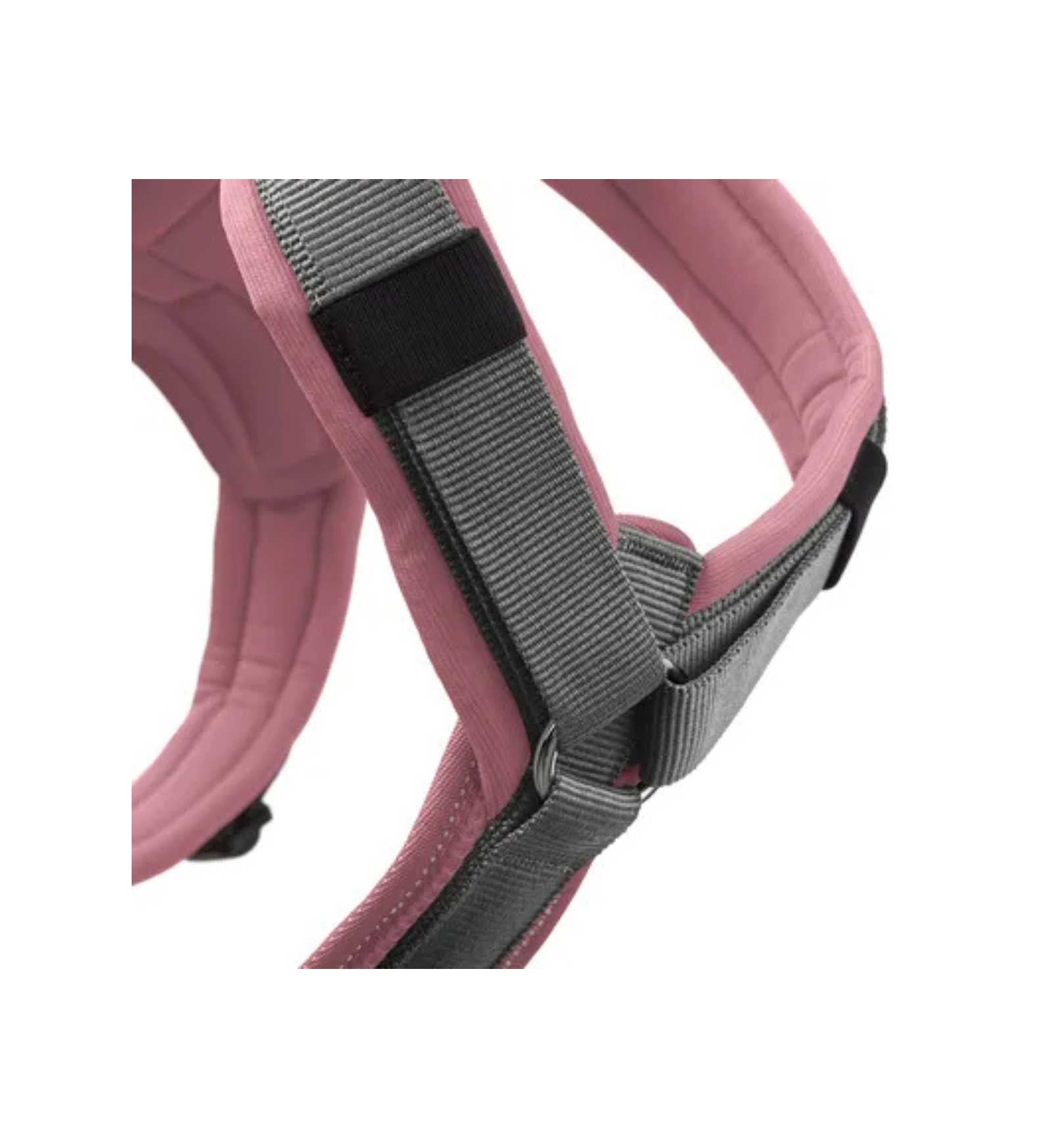 HUNTER205403_3__Server-Mago_Mago4_Custom_Companies_ZOOEXPERT_SRL_Applications_ERP_Items_Files_Images_AllUsers_205403_04.jpg HUNTER205403 picture