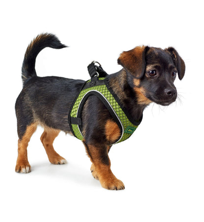 HUNTERH66644_4_Image.erp.items.images.66624_02.jpg HUNTERH66644 picture