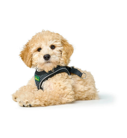 HUNTERH67478_6_Image.erp.items.images.66642_02.jpg HUNTERH67478 picture