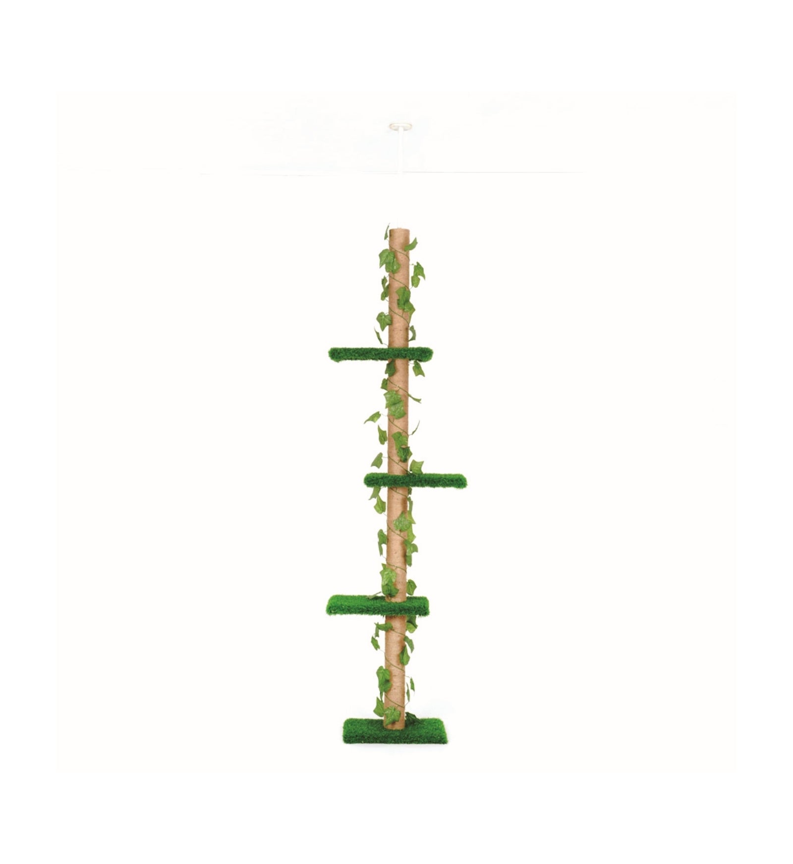 LEOPET15T0030M_1_Image.erp.items.images.15T0030M_01.jpg LEOPET15T0030M picture