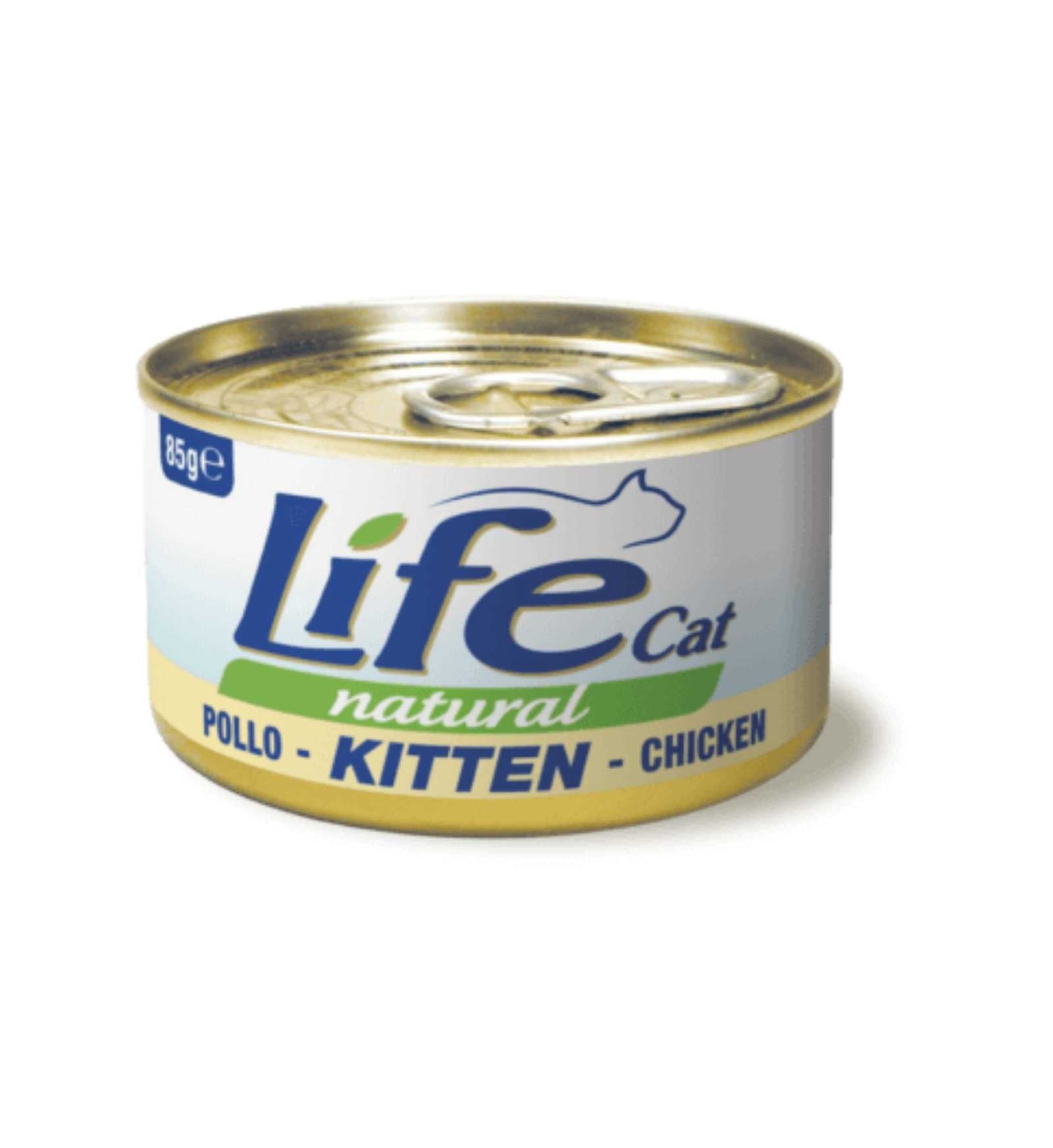 LIFEPE110110_1_Image.erp.items.images.110110_01.jpg LIFEPE110110 picture