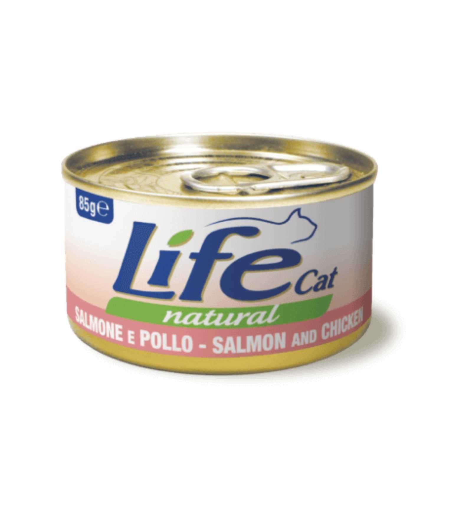 LIFEPE110121_1_Image.erp.items.images.110121_01.jpg LIFEPE110121 picture